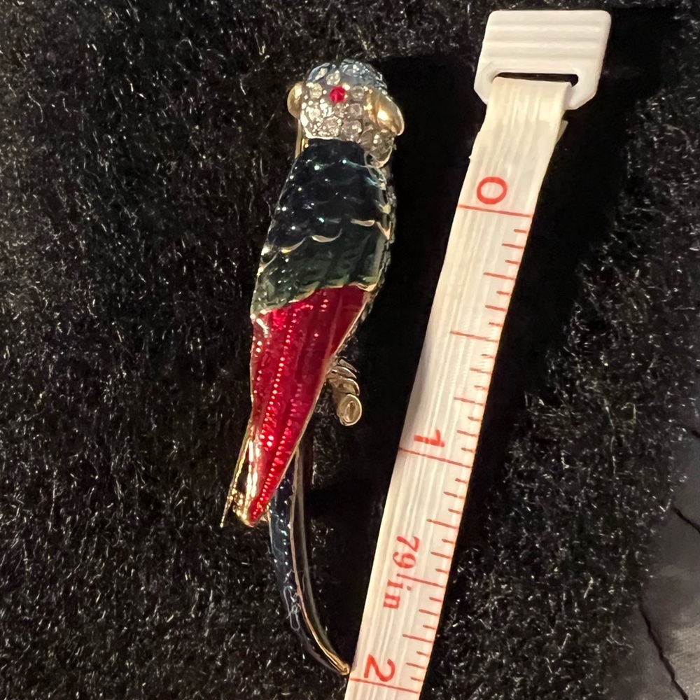 Pin parakeet - Picture 3 of 4